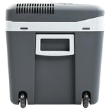 Nešiojama termoelektrinė šaltdėžė, 40l, 12V, 230V