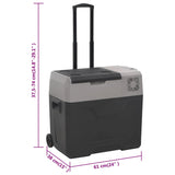 Šaltdėžė su ratukais ir rankena, juoda ir pilka, 30l, PP