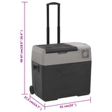 Šaltdėžė su ratukais ir rankena, juoda ir pilka, 40l, PP