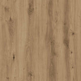 2 dalių indauja Artisan Oak Engineered Wood